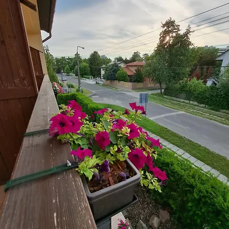 Kincso Vendeghaz By Newave Siofok