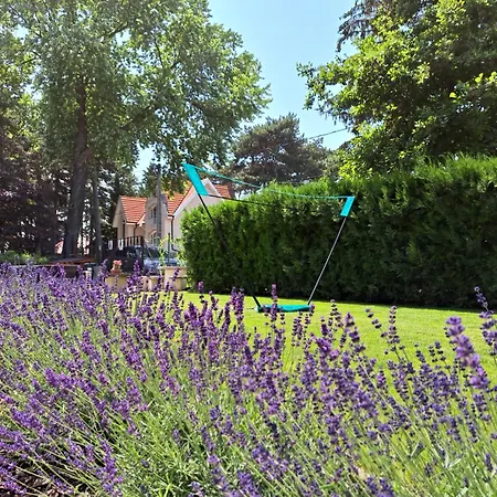 Kincso Vendeghaz By Newave Konukevi Siofok